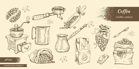 Coffee equipment and tools. Coffea seeds arabica.