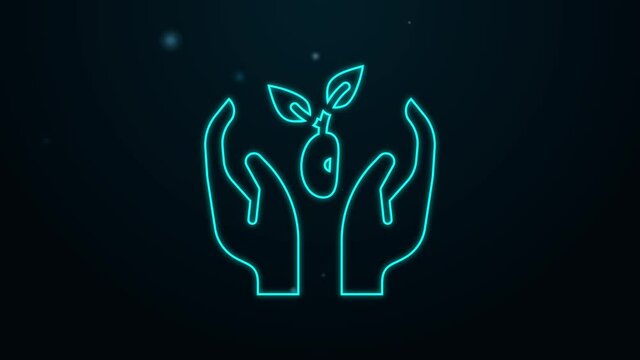 Glowing neon line Plant in hand of environmental protection icon isolated on black background. Seed and seedling. Planting sapling. Ecology concept. 4K Video motion graphic animation