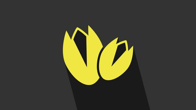Yellow Pistachio nuts icon isolated on grey background. 4K Video motion graphic animation
