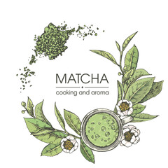Hand-drown sketch matcha cooking and aroma. - obrazy, fototapety, plakaty