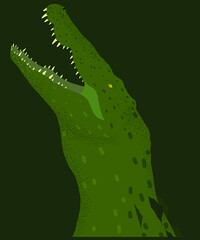 Vector illustration with a crocodile for printing on a T-shirt or other media