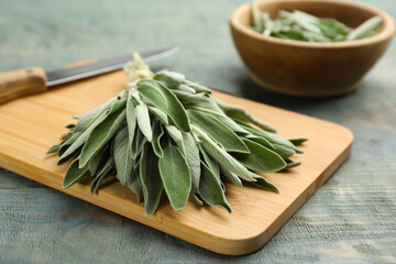 Wooden board with fresh green sage on light blue table, closeup - obrazy, fototapety, plakaty
