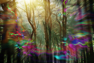 View of forest and flashing lights effect. Migraine aura, symptom of disease - obrazy, fototapety, plakaty