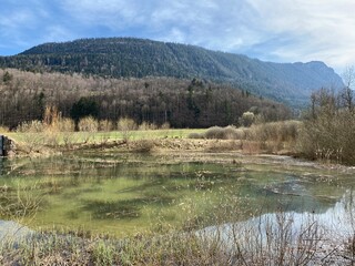 Educational trail and swamp Grand Morcel (Sentier pédagogique et marais du Grand Morcel), Vallorbe...