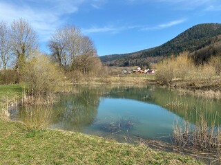Educational trail and swamp Grand Morcel (Sentier pédagogique et marais du Grand Morcel), Vallorbe...