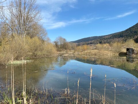 Educational trail and swamp Grand Morcel (Sentier p&eacute;dagogique et marais du Grand Morcel), Vallorbe - Canton of Vaud, Switzerland (Kanton Waadt, Schweiz - Suisse)