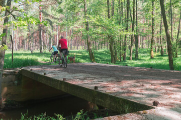 Kobieta i mężczyzna w średnim wieku na leśnej wycieczce rowerowej.