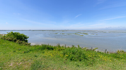 Cap Hornu panorama in the bay of the Somme
