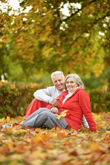 Naklejka na ściany i meble happy senior couple sitting on autumn leaves