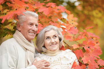 smiling senior couple posing  in the park