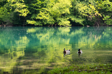 The Adda is a river in northern Italy, whose course is entirely included in Lombardy.
On its banks there are fantastic nature trails that can be traveled easily and are suitable for families. 