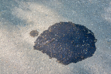 car oil stain on asphalt close up top view
