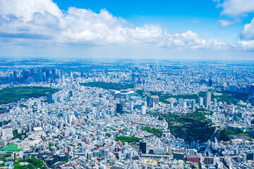 Naklejka premium 新国立競技場
