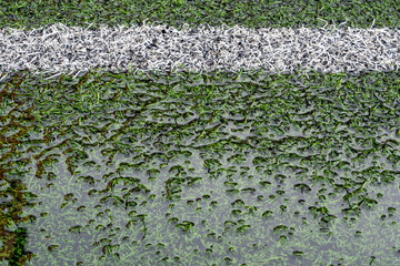 The artificial grass football field inundates with water