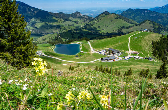 Urlaub in den bayrischen Bergen: Das Wandergebiet Sudelfeld, Bayrischzell mit dem Traithen und seinen schönen Almen im Frühling