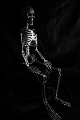 squelette humain assis éclairé par un projecteur