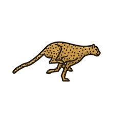 Running Cheetah isolated vector illustration for Cheetah Day on December 4