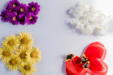 flat lay collection of summer flowers, art composition on white background