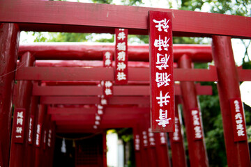 豪雨被害の青井阿蘇神社　鳥居