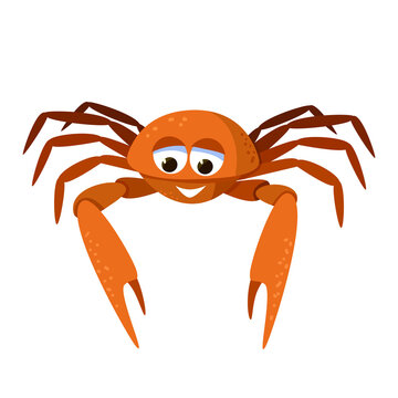 Cartoon cute crab. Marine broadly built decapod crustacean mascot.