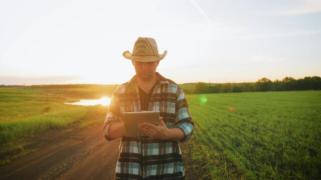 Smart farming technology. Farmer using digital tablet computer in cultivated field. Business owner looks in tablet in field. Concept modern technology application in agricultural growing activity.