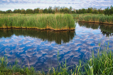 Riflessi