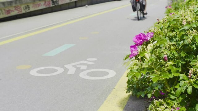 v&eacute;lo, piste cyclable, bicyclette, deux roue, skate, &eacute;t&eacute;, grenoble, nature, fleure, beau temps, ligne jaune, dessin v&eacute;lo, route, asphalte, autoroute, ligne, rue, voie, voyage, ciel, gazon, vert, paysag