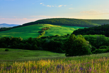 Spring landscape just before sunset. The last rays of the sun illuminate the grass with meadow...