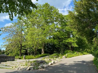 The Botanical Garden of the University of Zurich or Botanischer Garten der Universität Zürich (Botanischer Garten der Universitat Zurich - Botanischer Garten der Universitaet Zuerich), Switzerland