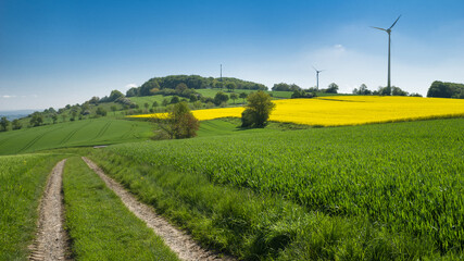 Feldmark Weserbergland Wanderweg Hohe Asch Frühling wolkenlos