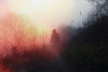 An atmospheric, moody concept. Of a ghostly hooded figure standing on a forest path on a foggy day....
