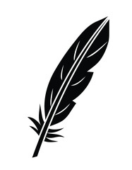 feather black and white, vector illustration 