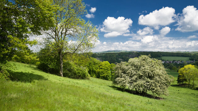 Blick ins Extertal iim Weserbergland Lippe im Fr&uuml;hling