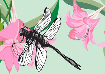 dragon fly - pink color flower with leafs ,light blue background