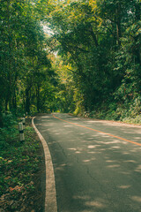 Road with green forest nature on both sides and bright sunlight