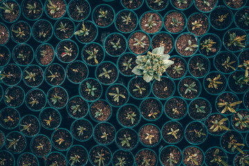 Concept for differentiate from other, leader or unique