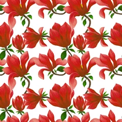 Plexiglas foto achterwand Watercolor seamless pattern with magnolia flowers. Beautiful floral print for any purposes. Spring or summer romantic background.  © Natallia Novik