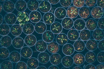 Concept for differentiate from other, leader or unique