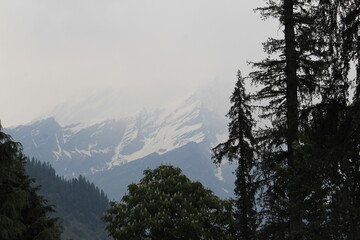 snow covered mountains