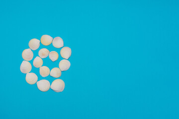 Sea shells in the form of a spiral on bright blue background. Summer time concept. Flat lay style with copy space