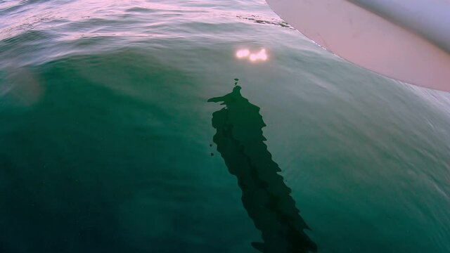 Slow motion footage of water dripping off a paddle. Ocean kayaking. Summertime in the Swedish archipelago.