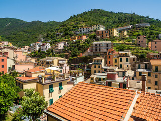 Old city with roof and purple flower in Cinque Terre National Park in Italy on city hill.