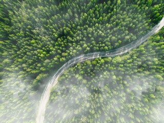 Aerial view of curved country road with green summer fog forest