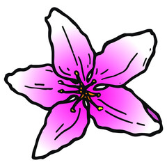 Hand drawn sakura blooming flower. Traditional japanese or chinese spring flower in ink style