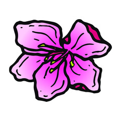 Hand drawn sakura blooming flower. Traditional japanese or chinese spring flower in ink style