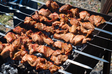 Turkey meat shish kebab on the barbecue grill