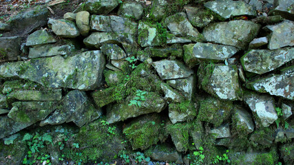 Old Stones With Moss Texture Background 
