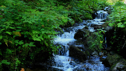 Obraz premium Cascade Of Small Waterfalls In Mountain Creek