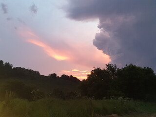 sunset in the forest