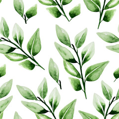 Twigs with green leaves watercolor seamless pattern. Template for decorating designs and illustrations.